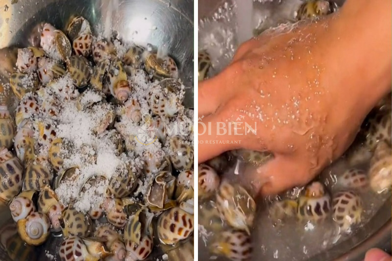 Cách làm ốc hương sạch cát và bụi bẩn