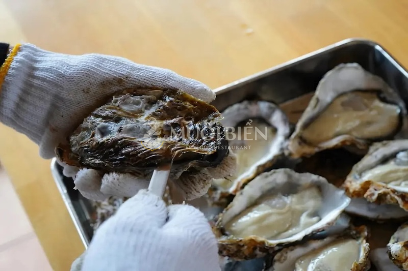 Cách tách vỏ hàu lớn chỉ trong 10s