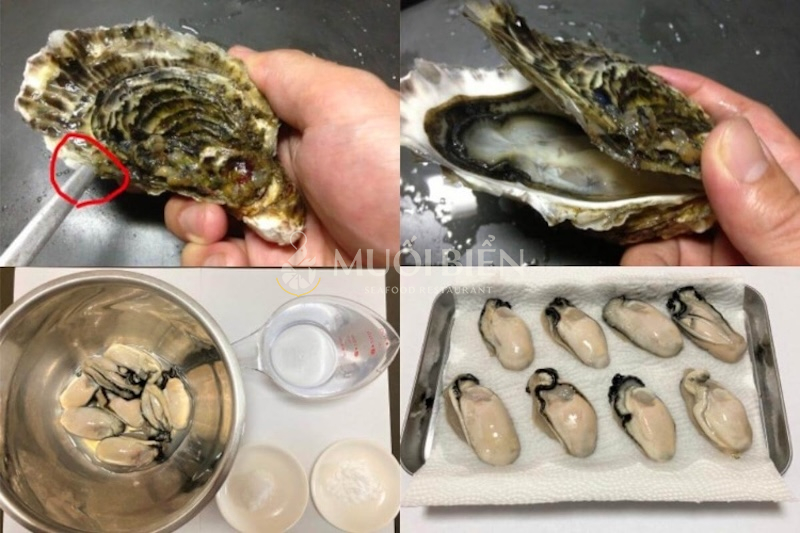 Cách tách vỏ hàu sữa nhanh chóng