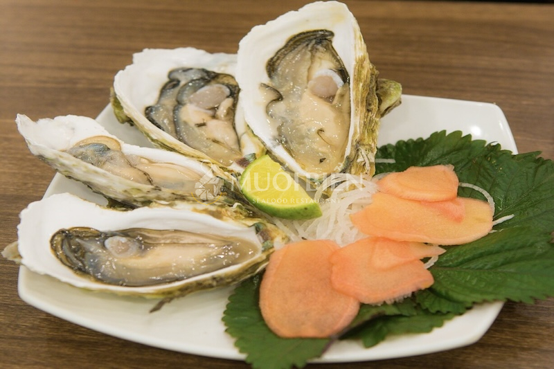 Chế biến hàu ngon với hàu sashimi tươi sống