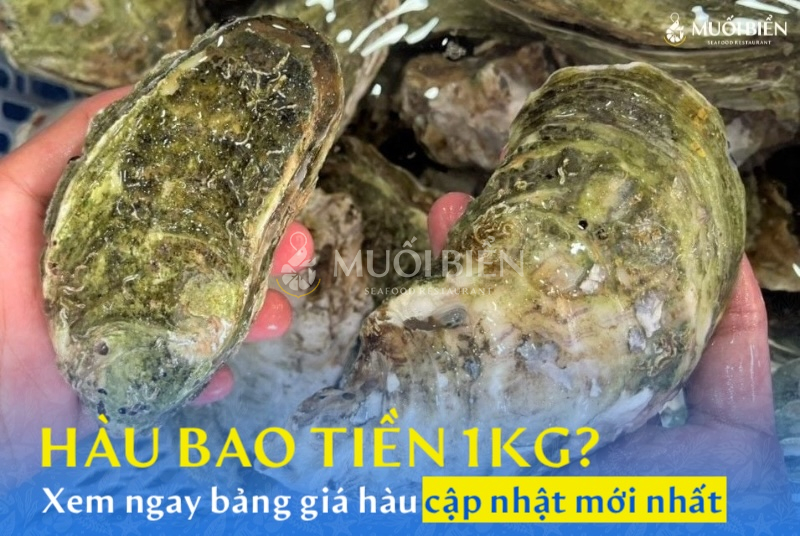 Hàu bao tiền 1kg? Xem ngay bảng giá hàu cập nhật mới nhất 