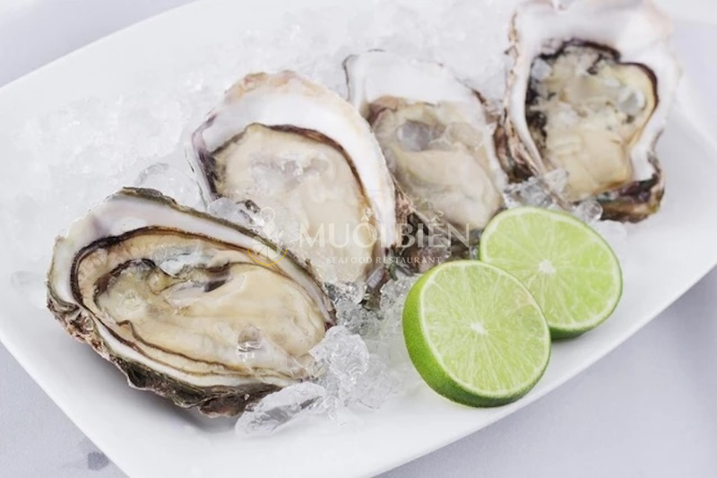 Lưu ý khi ăn hàu biển 