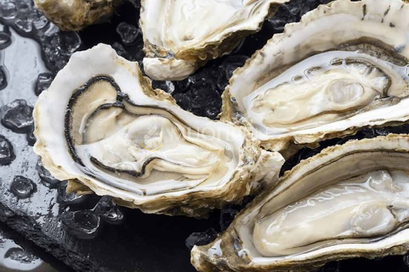 Một số cách giúp khử mùi tanh của hàu