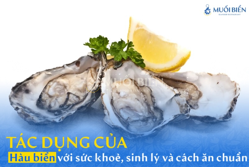 Tác dụng của hàu biển với sức khỏe, sinh lý và cách ăn chuẩn