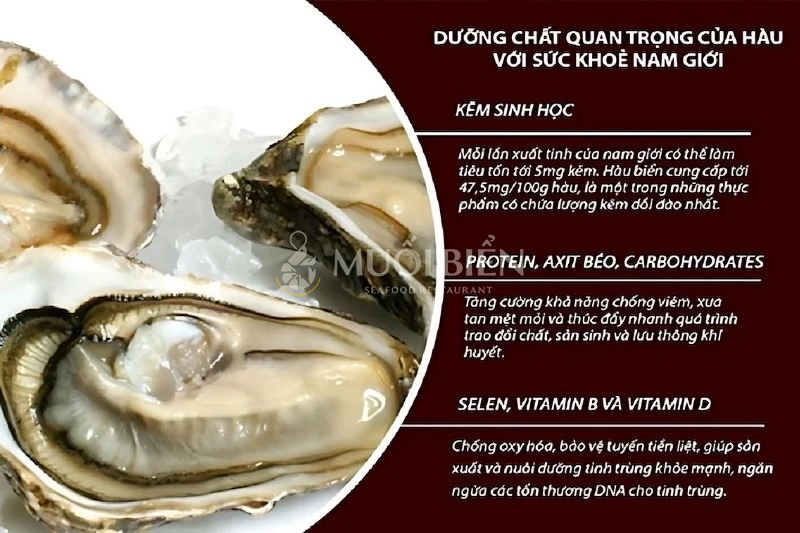 Thành phần dinh dưỡng và tác dụng của hàu biển