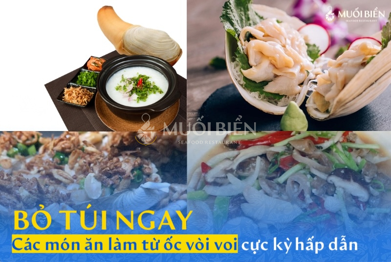 Bỏ túi ngay các món ăn làm từ ốc vòi voi cực kỳ hấp dẫn
