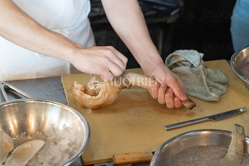 Cách sơ chế ốc vòi voi để làm món sashimi