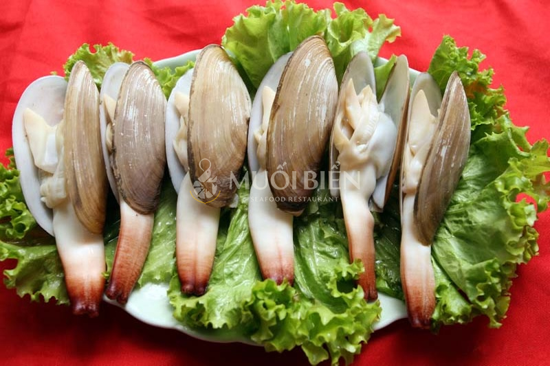 Tu hài có tác dụng gì