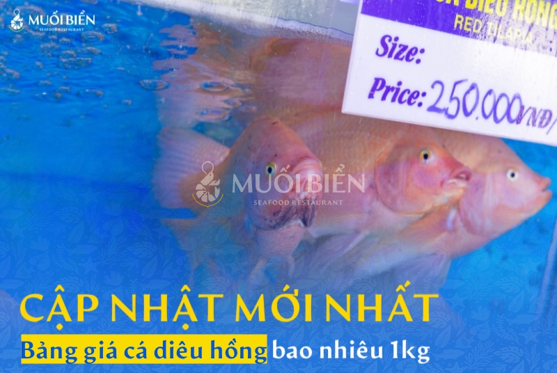 Cập nhật mới nhất bảng giá cá diêu hồng bao nhiêu 1kg