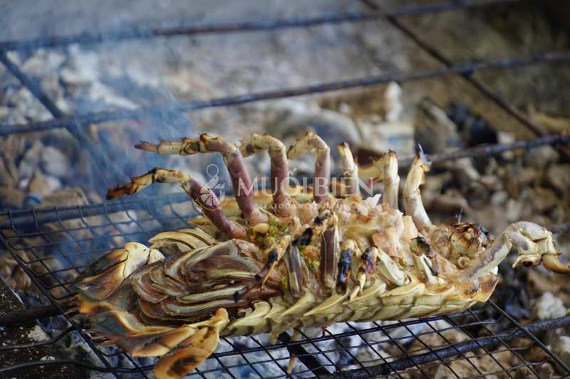 Bọ biển nướng mọi thơm lừng, cực hấp dẫn - Bọ biển làm món gì ngon