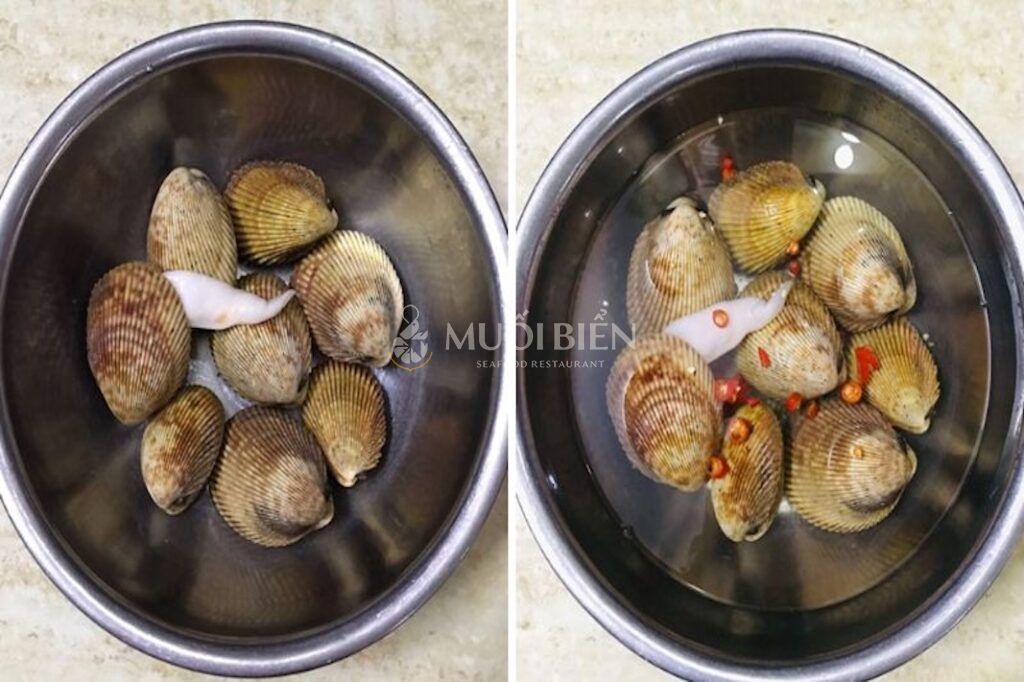 Cách sơ chế và làm sạch sò dương trước khi chế biến sò dương làm món gì ngon