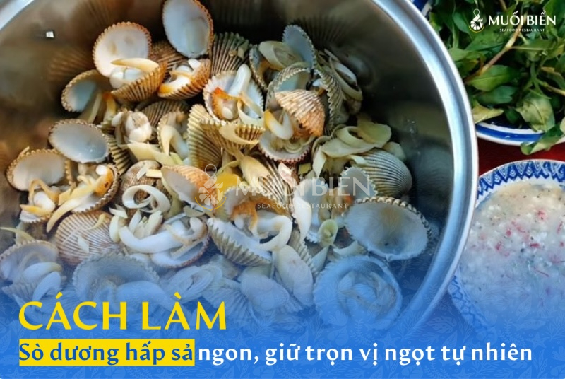 Cách làm sò dương hấp sả ngon, giữ trọn vị ngọt tự nhiên