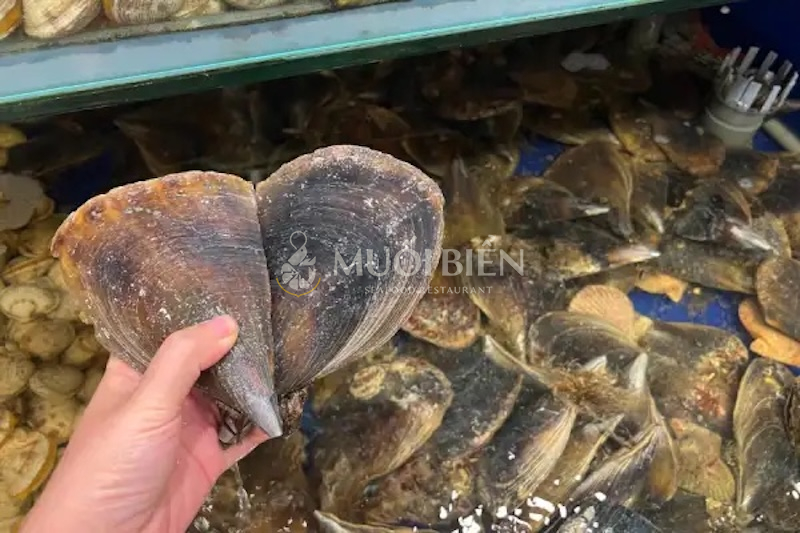 Giá sò mai bao nhiêu 1kg